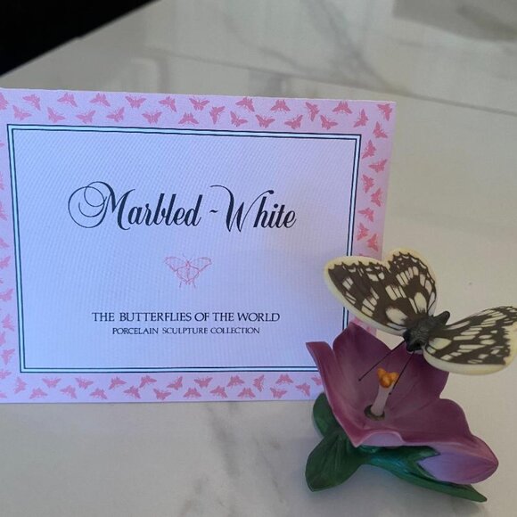 Butterflies From Around the World on their own Native Flowers - Picture 2 of 9